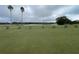 Scenic view of a golf course pond with palm trees, set under a cloudy sky, enhancing the community's appeal at 1750 Saint Tropez Ct, Kissimmee, FL 34744