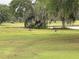 Two Sandhill Cranes are seen wandering through the grass of the golf course at 1750 Saint Tropez Ct, Kissimmee, FL 34744