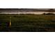 Scenic water view featuring a Sandhill Crane in a grassy marshland with calm waters in the background at 1750 Saint Tropez Ct, Kissimmee, FL 34744