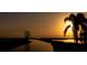 Beautiful water view featuring golden sunrise with palm tree silhouette on the right at 1750 Saint Tropez Ct, Kissimmee, FL 34744