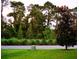 Lush greenery with a variety of trees and well-maintained landscaping surrounding the property at 2057 Celebration Blvd, Celebration, FL 34747