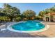 Resort-style swimming pool surrounded by mature trees and tropical foliage at 5101 Staniard Dr, Kissimmee, FL 34746