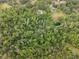 Aerial view of a home with pool in heavily wooded area at 6340 Nelms E Rd, Lakeland, FL 33811
