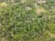Aerial view of a home with pool in heavily wooded area at 6340 Nelms E Rd, Lakeland, FL 33811