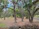 Lush, mature trees surround a secluded property, creating a peaceful and private oasis at 6340 Nelms E Rd, Lakeland, FL 33811