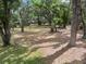 Large lot with mature trees offers a peaceful and private oasis at 6340 Nelms E Rd, Lakeland, FL 33811
