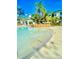 Shallow end of the pool offers a relaxing space to cool off and soak up the sun at 8907 Legacy Ct # 14 205, Kissimmee, FL 34747