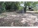 Backyard with mature shade trees, foliage and a shed-like structure in the distance at 206 Willow St, Lake Wales, FL 33859