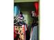 A storage closet containing shelved clothing and items inside a room with green walls at 206 Willow St, Lake Wales, FL 33859