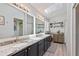 Bathroom featuring double vanity, dark cabinets, modern fixtures, skylight, and decor at 219 Breezy Oaks Ct, Davenport, FL 33896