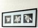 Close-up of framed floral artwork adding a touch of elegance to the room at 4004 Santa Maria Dr # 108, Kissimmee, FL 34741