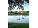 Peaceful pond view, featuring palm trees, playground and a walking heron at 4004 Santa Maria Dr # 108, Kissimmee, FL 34741