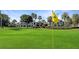 Scenic golf course view with manicured greens and mature trees, perfect for golf enthusiasts and outdoor enjoyment at 7683 Heritage Crossing Way # 202, Reunion, FL 34747