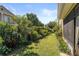 Lush backyard featuring green lawn and mature landscaping, creating a private and tranquil outdoor space at 3535 Clay Brick Rd, Harmony, FL 34773