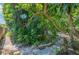Serene backyard featuring a stone pathway meandering through lush greenery, creating a tranquil and inviting outdoor space at 4611 Eaglet Ln, Kissimmee, FL 34746
