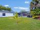 Spacious backyard with lush lawn, mature palm trees, pool, and room for outdoor activities at 5123 Lighthouse Rd, Orlando, FL 32808