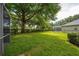 Lush backyard featuring well-maintained lawn, mature trees, and a secure fence at 9509 Baycliff Ct, Orlando, FL 32836