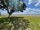 Large backyard with healthy grass and a sturdy white privacy fence at 141 Summer Place Loop, Clermont, FL 34714