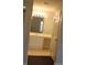 Bathroom with a mirror, vanity, cabinet, and flooring at 2804 Club Cortile Cir # A, Kissimmee, FL 34746