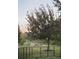 View of deer grazing in the backyard with mature trees at 3633 Bristol Cove Ln, St Cloud, FL 34772