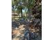 Spacious backyard with a swing set, large trees, and plenty of room for outdoor activities at 406 E Grove Ave, Lake Wales, FL 33853