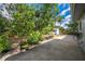 The backyard features a concrete patio area bordered by lush greenery and potted plants at 412 Noya Ln, Apopka, FL 32712