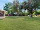 Expansive backyard with a storage shed, mature trees, and lush green lawn, perfect for outdoor activities at 5464 Windridge Ln, Orlando, FL 32810