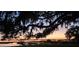 Peaceful evening view of a tranquil lake and dock framed by an oak tree draped in Spanish moss at sunset at 6200 Alligator Lake E Shr, St Cloud, FL 34771