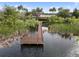 Scenic lake view featuring a wooden dock and surrounded by lush tropical foliage and towering palm trees at 6714 Bouganvillea Crescent Dr, Orlando, FL 32809