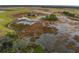 Scenic aerial view of the expansive wetlands showcasing the natural beauty surrounding the property at 8039 Oak Shadow Ct, Davenport, FL 33837