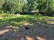 Lush, expansive backyard with mature trees and green grass at 3815 Nw Avenue R Ave, Winter Haven, FL 33881