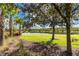 Scenic lake view with lush green lawn, mature trees, and palm trees on a sunny day at 8228 Randal Park Blvd, Orlando, FL 32832