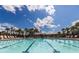 Inviting community pool with clear water, lounge chairs, and palm trees offering a relaxing oasis at 8228 Randal Park Blvd, Orlando, FL 32832