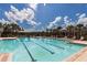 Large, sparkling community pool surrounded by palm trees and lounge chairs for ultimate relaxation and enjoyment at 8228 Randal Park Blvd, Orlando, FL 32832