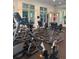 Well-equipped gym featuring multiple exercise machines, rubber flooring, and bright lighting at 1648 Heart Bar Rd, Kissimmee, FL 34744