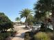 Community pool and deck area with palm trees, seating, and landscaping for relaxation at 1648 Heart Bar Rd, Kissimmee, FL 34744