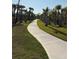 Paver walking path with mature landscaping and palm trees at 1648 Heart Bar Rd, Kissimmee, FL 34744