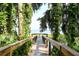 Wooden dock surrounded by lush greenery, plants, and Spanish moss leading to calm lake views at 4084 Bannock Ave, Tavares, FL 32778
