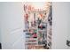 Organized walk-in closet with built-in shelving and racks, perfect for storage at 6953 Broglie St, Orlando, FL 32827