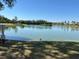 Scenic community pond with serene water, lush surroundings, and clear blue skies at 1019 Lake Berkley Dr, Kissimmee, FL 34746