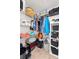 Organized walk-in closet featuring shelving and hanging storage for efficient storage solutions at 1190 Sandestin Way, Orlando, FL 32824