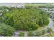 Aerial view of wooded area next to the road at 212 Ficus St, Celebration, FL 34747