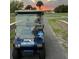 Golf cart featuring The Bird Team agency in a golf community at 2615 Autumn Green Dr, Orlando, FL 32822