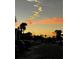 Community parking lot with tropical palm trees at sunset at 2615 Autumn Green Dr, Orlando, FL 32822
