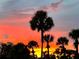 Scenic sunset with palm tree silhouettes creates a warm and inviting tropical atmosphere at 2615 Autumn Green Dr, Orlando, FL 32822