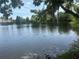 Beautiful waterfront view of the lake with trees and blue umbrellas in the background at 8369 Riverdale Ln # 1, Davenport, FL 33896