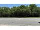 An image of land with lush green trees at 954 Hacienda Cir, Kissimmee, FL 34741