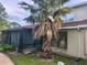 Exterior view showcasing the home's facade, including a screened-in porch, palm tree, and well-maintained landscaping at 135 Pine Island Cir, Kissimmee, FL 34743