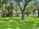Lush green lawn with mature trees, a wrought iron fence, and a view of the street at 2408 Barley Club Ct # 2, Orlando, FL 32837
