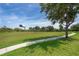 Expansive green backyard with a sidewalk, mature trees, and plenty of open space for outdoor activities at 2462 Hassonite St, Kissimmee, FL 34744
